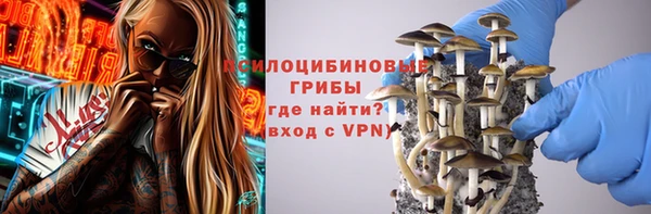 apvp Зерноград