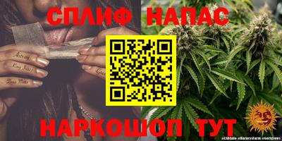 гидропоника Кунгур