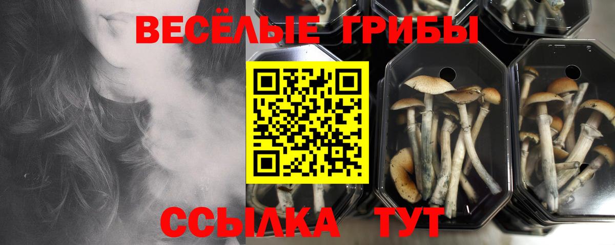 Псилоцибиновые грибы MAGIC MUSHROOMS Ишимбай